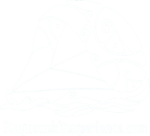 Stagnone Kite Experience